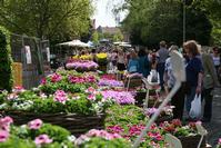 evenementfoto, 20 ste Nationale Plantenbeurs Hombeek